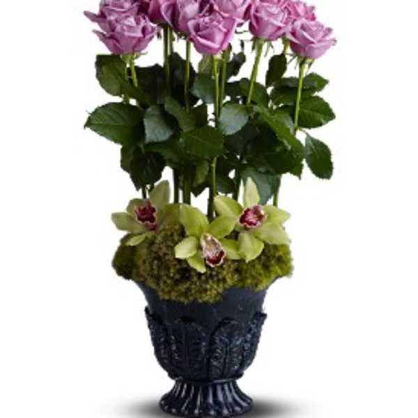 Tall arrangement of lavender roses with green orchids in a black urn-style vase