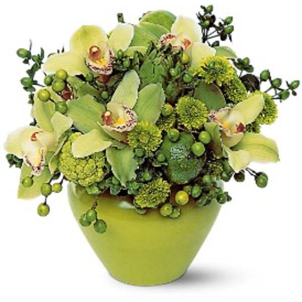 Green orchid arrangement in a lime vase