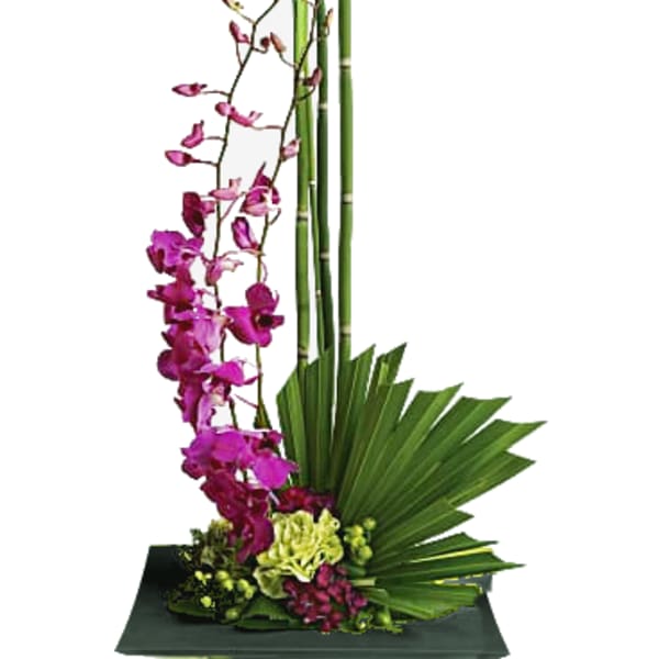 [TT-ZENART]: ZEN ARTISTRY by Twin Towers Florist - Arlington VA
