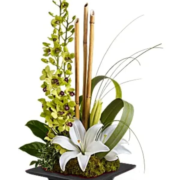 [TT-SOASIS]: SECRET OASIS by Twin Towers Florist - Arlington VA