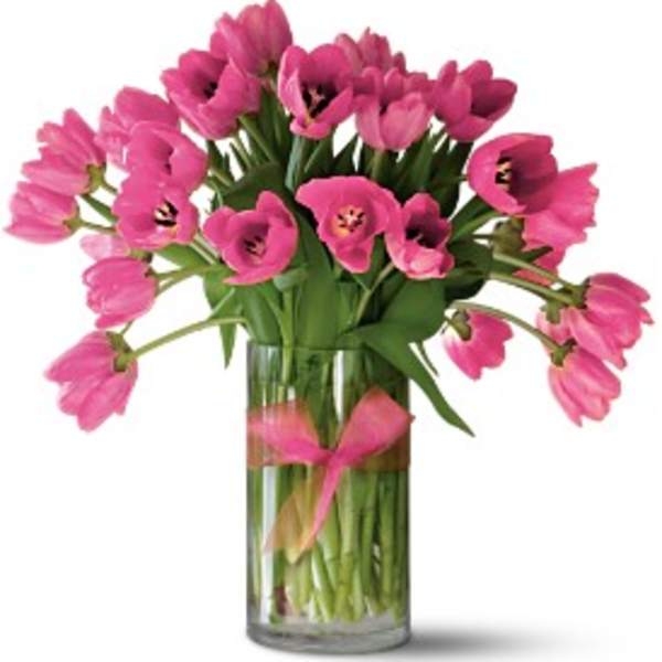 Pink tulips arranged in a clear glass vase
