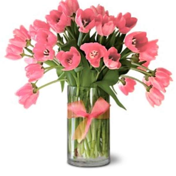 Pink tulips arranged in a clear glass vase with a pink ribbon