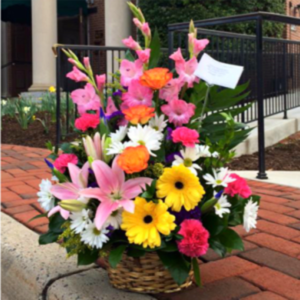 SPRING BASKET ARRANGEMENT [TT-ARR50]