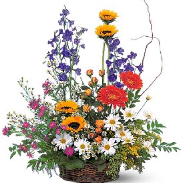 Tall mixed basket arrangement with yellow and orange daisies, red gerbera, purple delphinium, and white daisies
