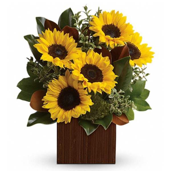 Arrangement of yellow sunflowers in a brown wooden cube container