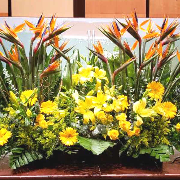 Large tropical arrangement with orange birds of paradise and yellow flowers in a low front-facing display