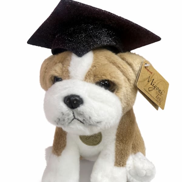 Plush puppy wearing a graduation cap