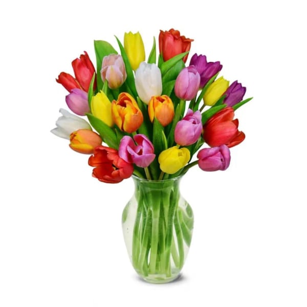 Mixed-color tulip bouquet in a clear glass vase