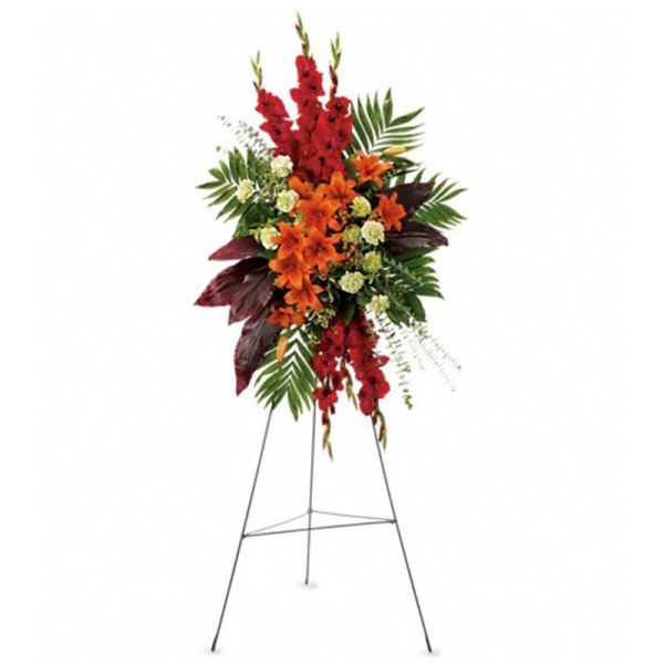 A New Sunrise Spray [T271-2A]