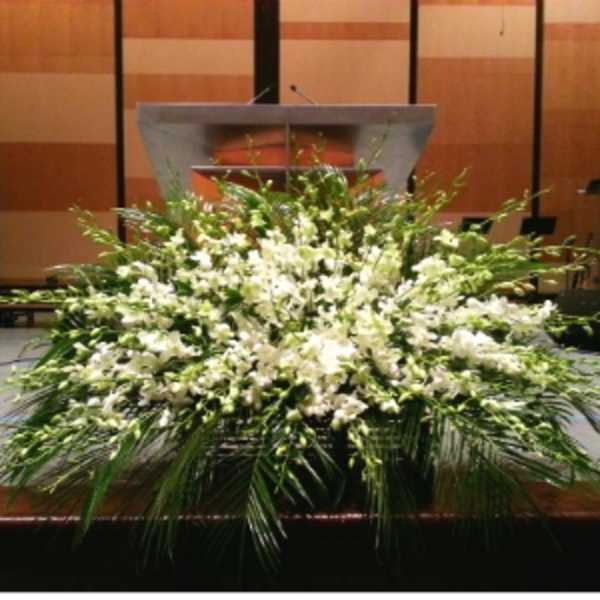 Large white orchid stage arrangement with cascading greenery in front of a podium
