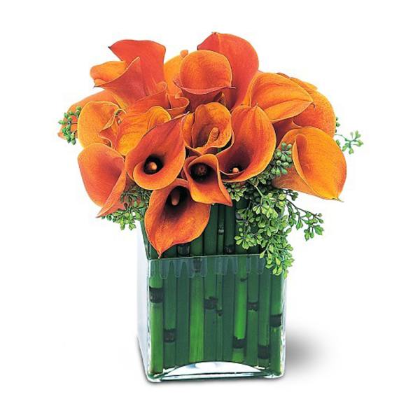 Orange calla lilies in a square glass vase with green stems