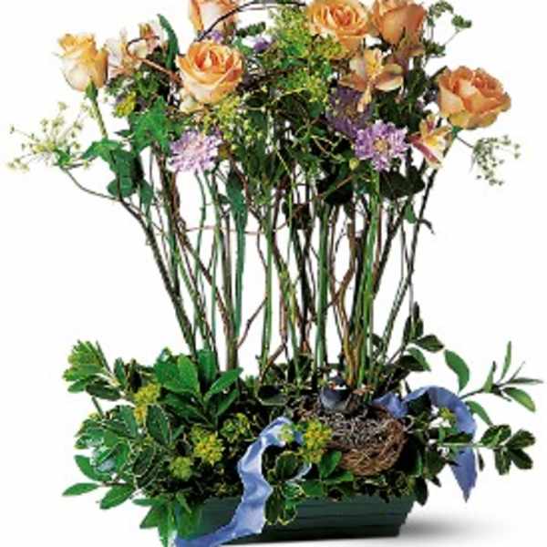 Tall peach rose arrangement with purple accents, a bird nest, and blue ribbon in a low green container