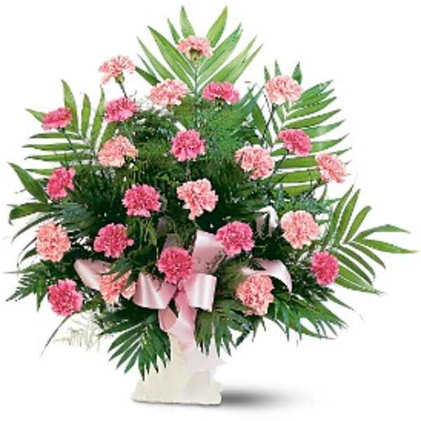 Tall fan-shaped arrangement of pink carnations with pink ribbon in a white urn