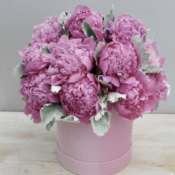 Round pink hatbox arrangement of bright pink peonies with soft silvery foliage