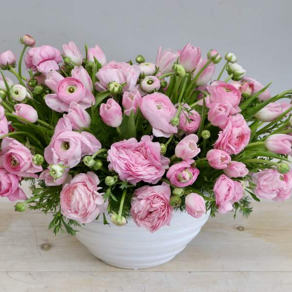 Low white bowl filled with lush light pink ranunculus blooms and buds in a dense, rounded arrangement