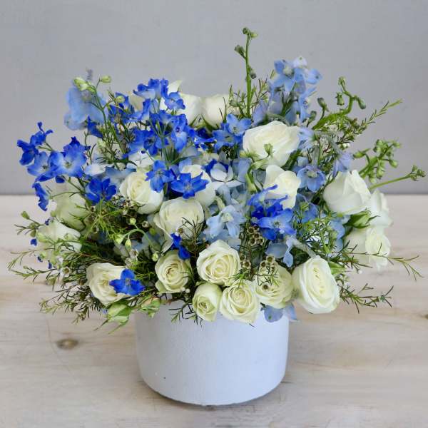 Low arrangement of white roses and blue delphinium in a white pot