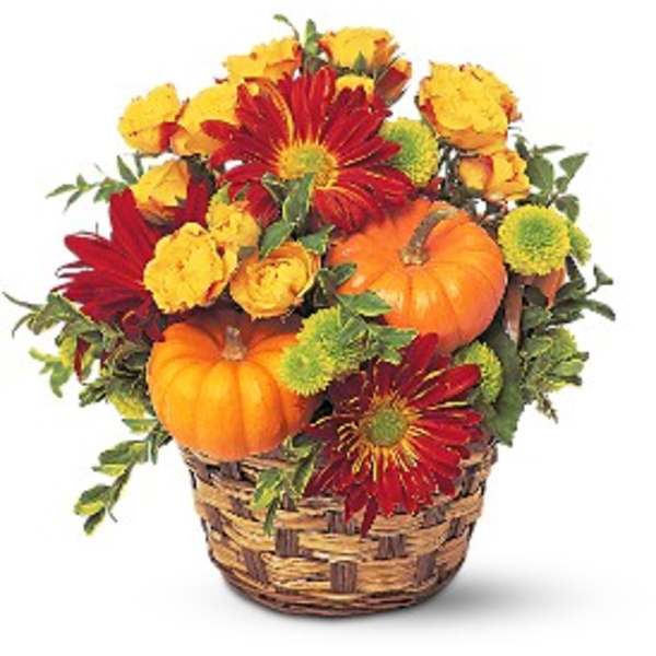 Autumn basket with orange pumpkins, red daisy-style blooms and yellow flowers