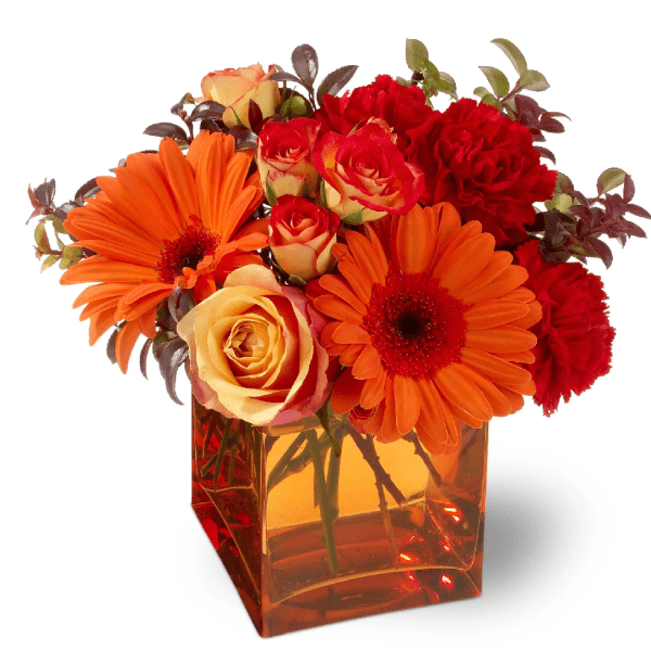 [TT-SRSS]: Sunrise Sunset