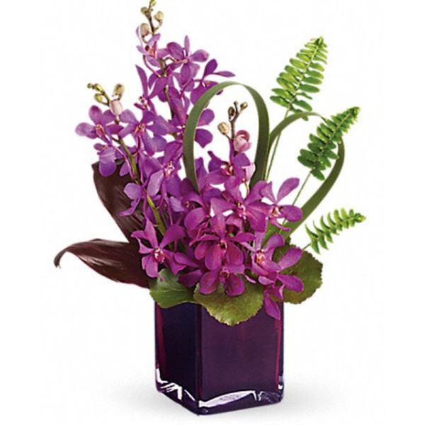 Purple orchid arrangement in a square glass vase
