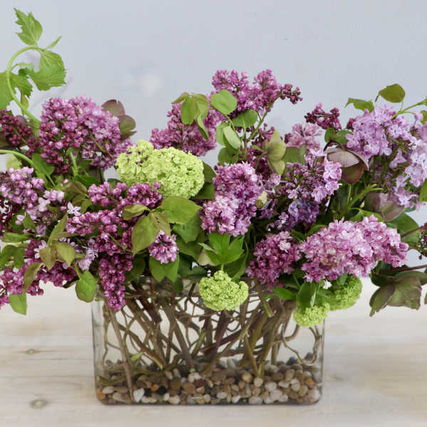 Pink and purple lilac arrangement in a glass vase with pebbles