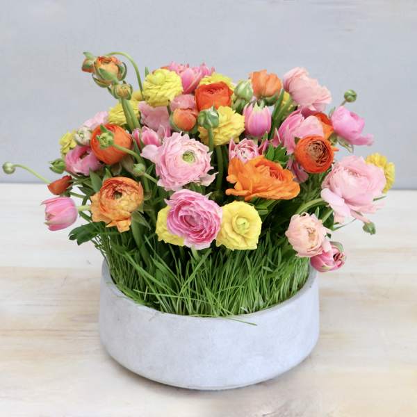 Mixed pink, orange, and yellow flowers in a round white container