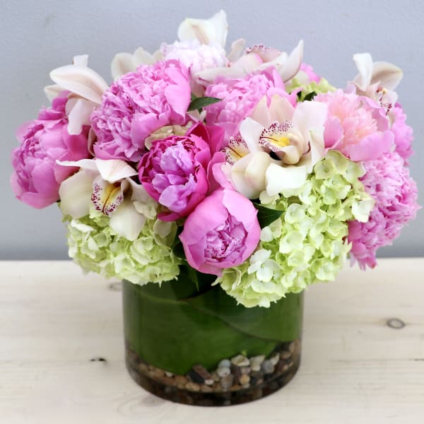 Compact arrangement of pink peonies, white orchids, and green hydrangeas in a glass cylinder vase