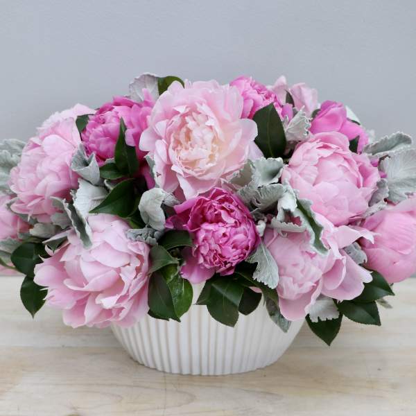Low arrangement of pink peonies in a white ceramic bowl