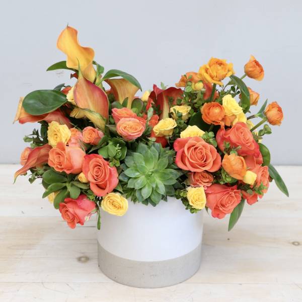 Low arrangement of orange and yellow roses, calla lilies, and a green succulent in a white cylinder vase