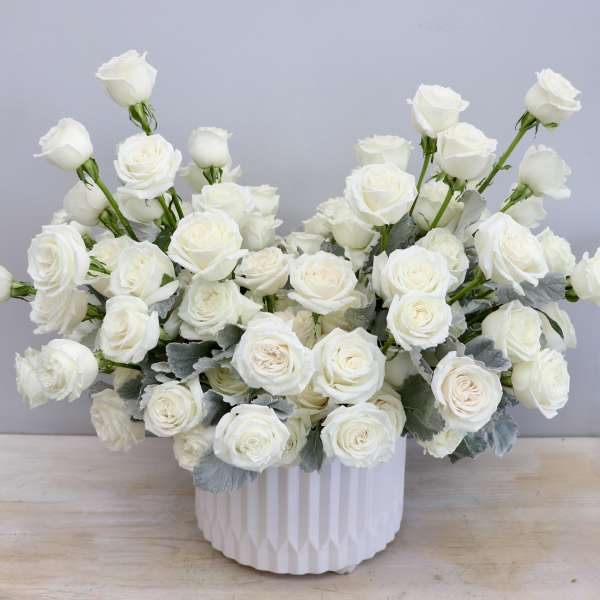 Low arrangement of white roses in a white ceramic container.