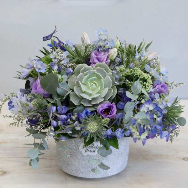 Low arrangement with a central green succulent and purple and blue flowers in a round white pot