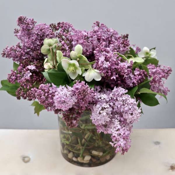 Lilac and white flowers arranged in a glass vase