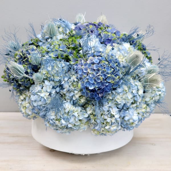 Low round arrangement of blue and white hydrangeas with airy accents in a white ceramic bowl.