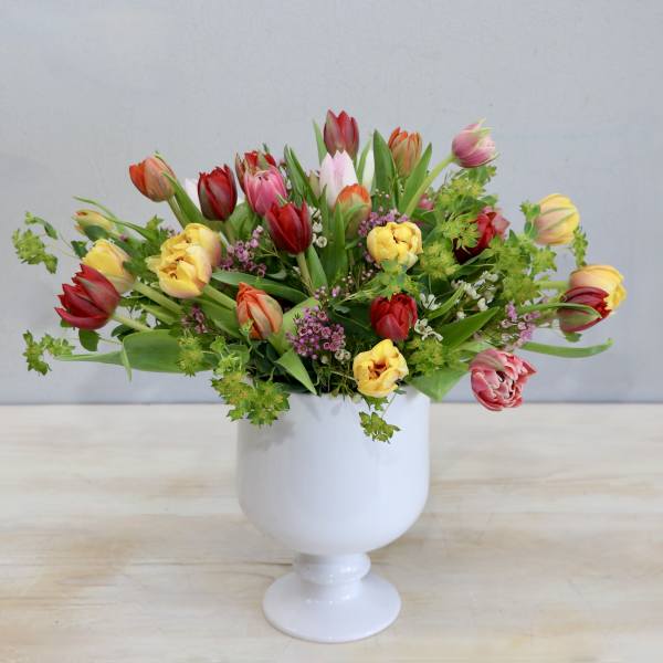 Dancing Tulips - My Glendale Florist