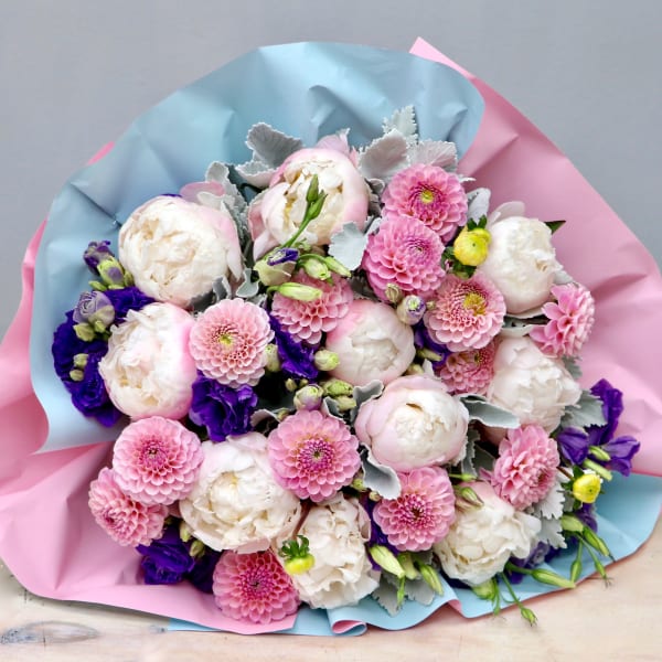 Round bouquet of blush peonies and pink dahlias with purple blooms in pink and blue wrapping paper
