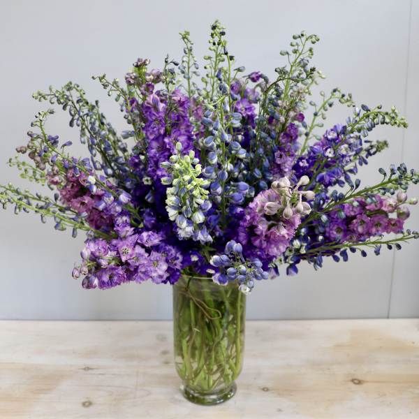 Tall arrangement of purple and blue delphinium in a clear glass cylinder vase