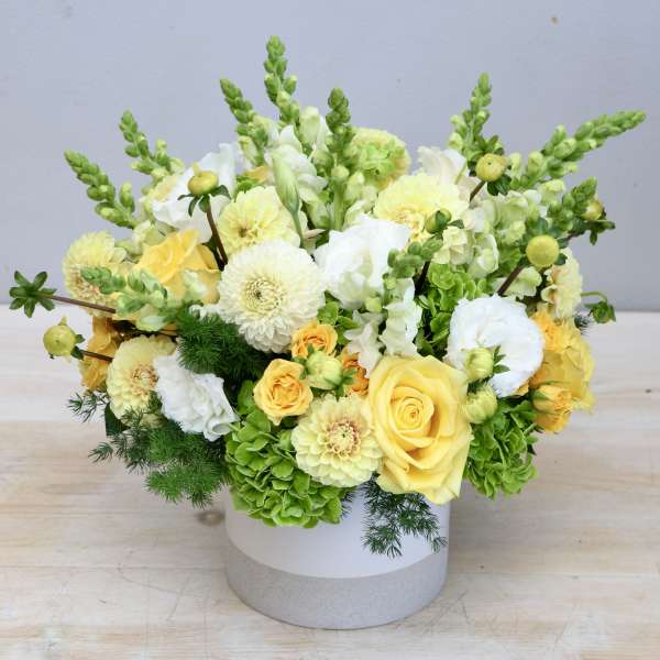 Low yellow and white flower arrangement with roses and snapdragons in a white ceramic cylinder vase