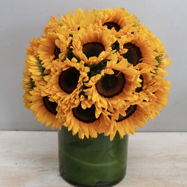 Compact arrangement of bright yellow sunflowers tightly clustered in a clear glass cylinder vase