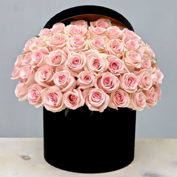 Dome of light pink roses arranged tightly in a round black hatbox-style container