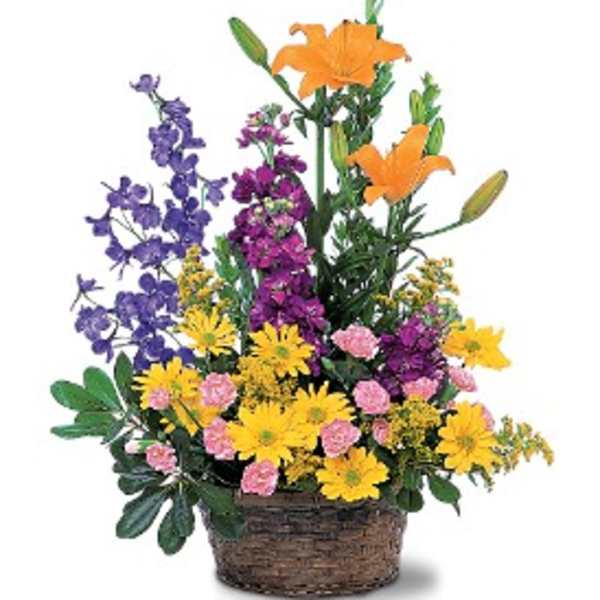 Basket arrangement with orange lilies, purple flowers, yellow daisies, and pink blooms.