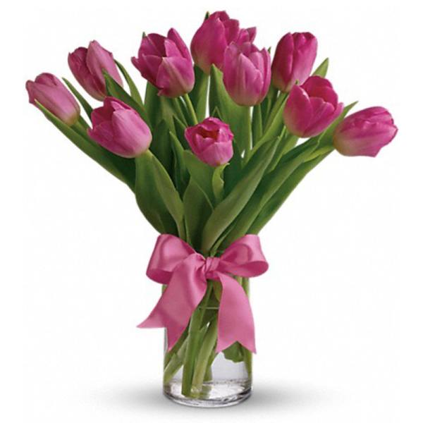Pink tulips arranged in a clear glass vase with a pink ribbon