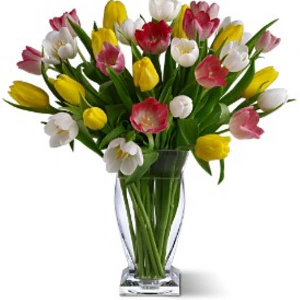 Bouquet of multicolored tulips in a clear glass vase