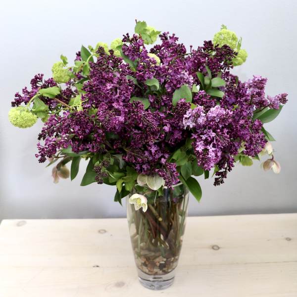 Purple lilac bouquet in a clear glass vase