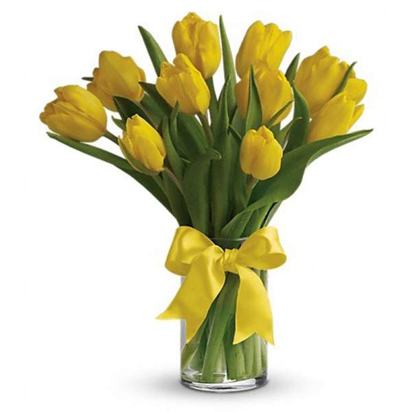 Yellow tulips in a clear glass vase with a yellow ribbon