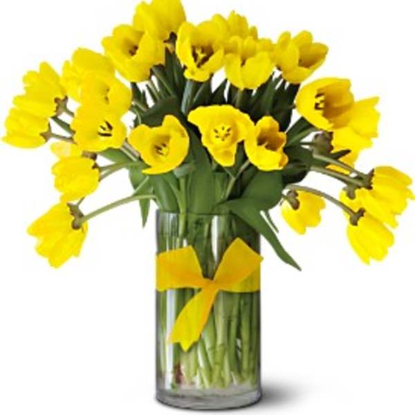 Yellow tulips in a clear glass vase with a yellow ribbon