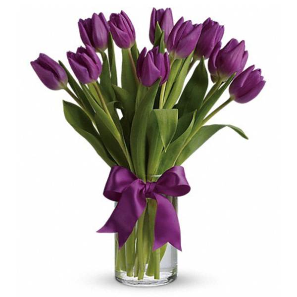 Passionate Purple Tulips [T148-2A]