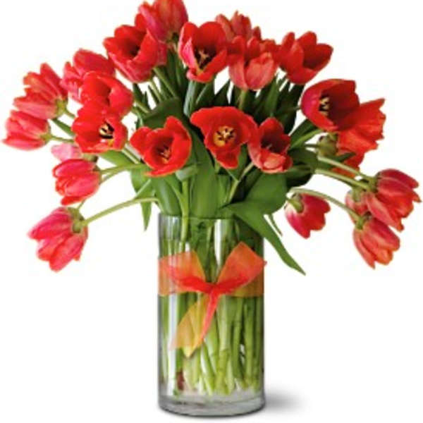 Red tulips in a clear glass vase with a red ribbon