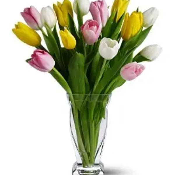 Mixed pink, white, and yellow tulips in a clear glass vase