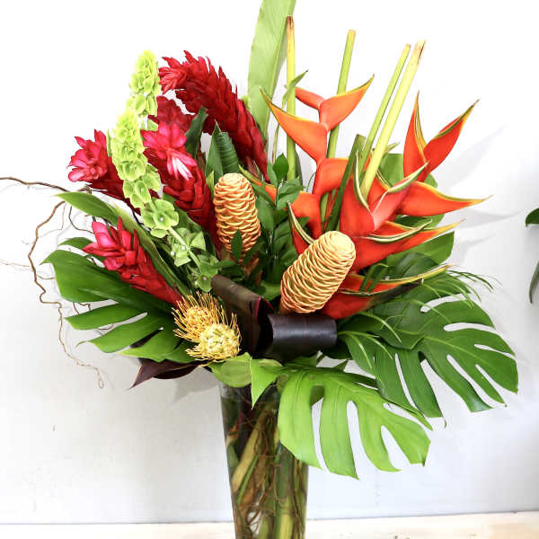 Tall Tropics - MGF