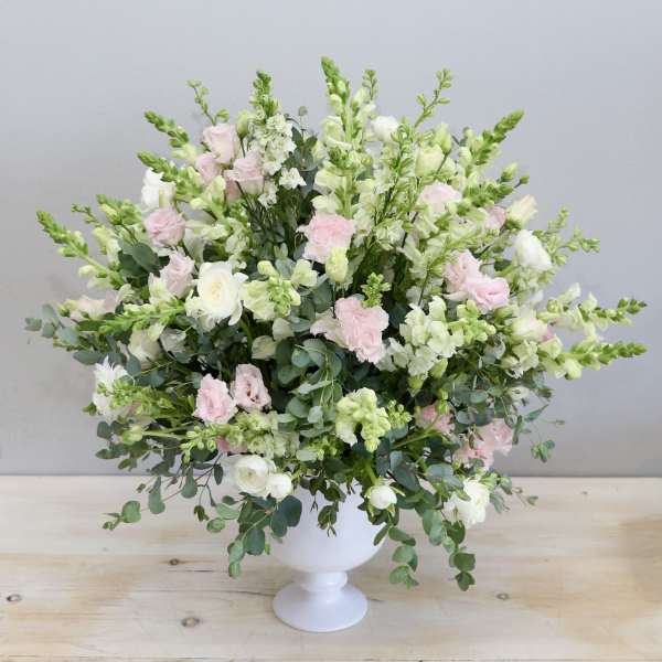 Snapping Beauty - My Glendale Florist