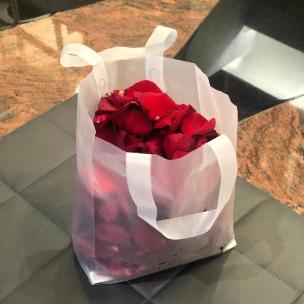 RED ROSE PETALS